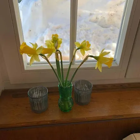 Dom wakacyjny Berghaus Carlsfeld *