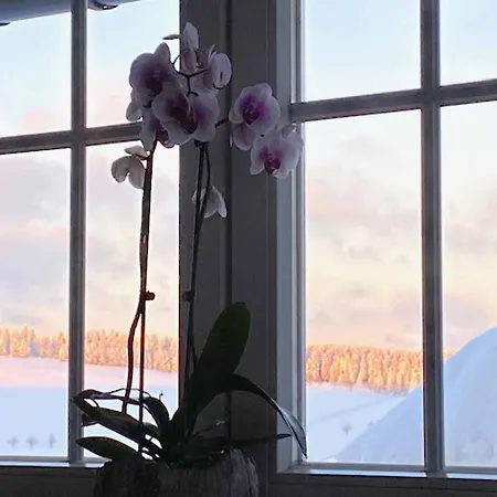 Berghaus Carlsfeld Feriehus Eibenstock