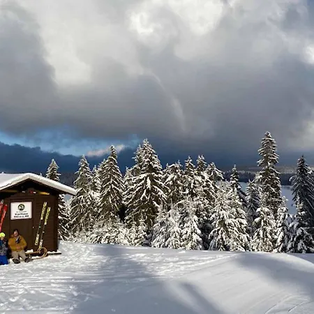 Holiday home Berghaus Carlsfeld